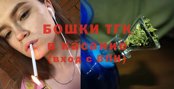 прущие грибы Армянск
