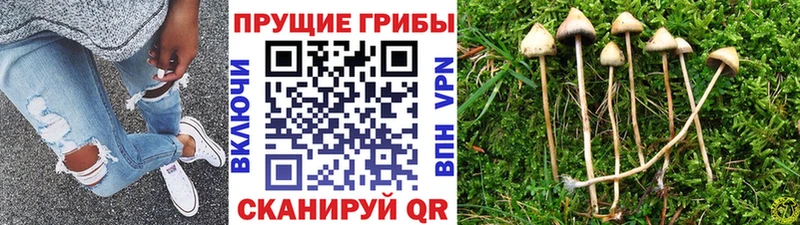 Псилоцибиновые грибы мухоморы  что такое   Никольск 
